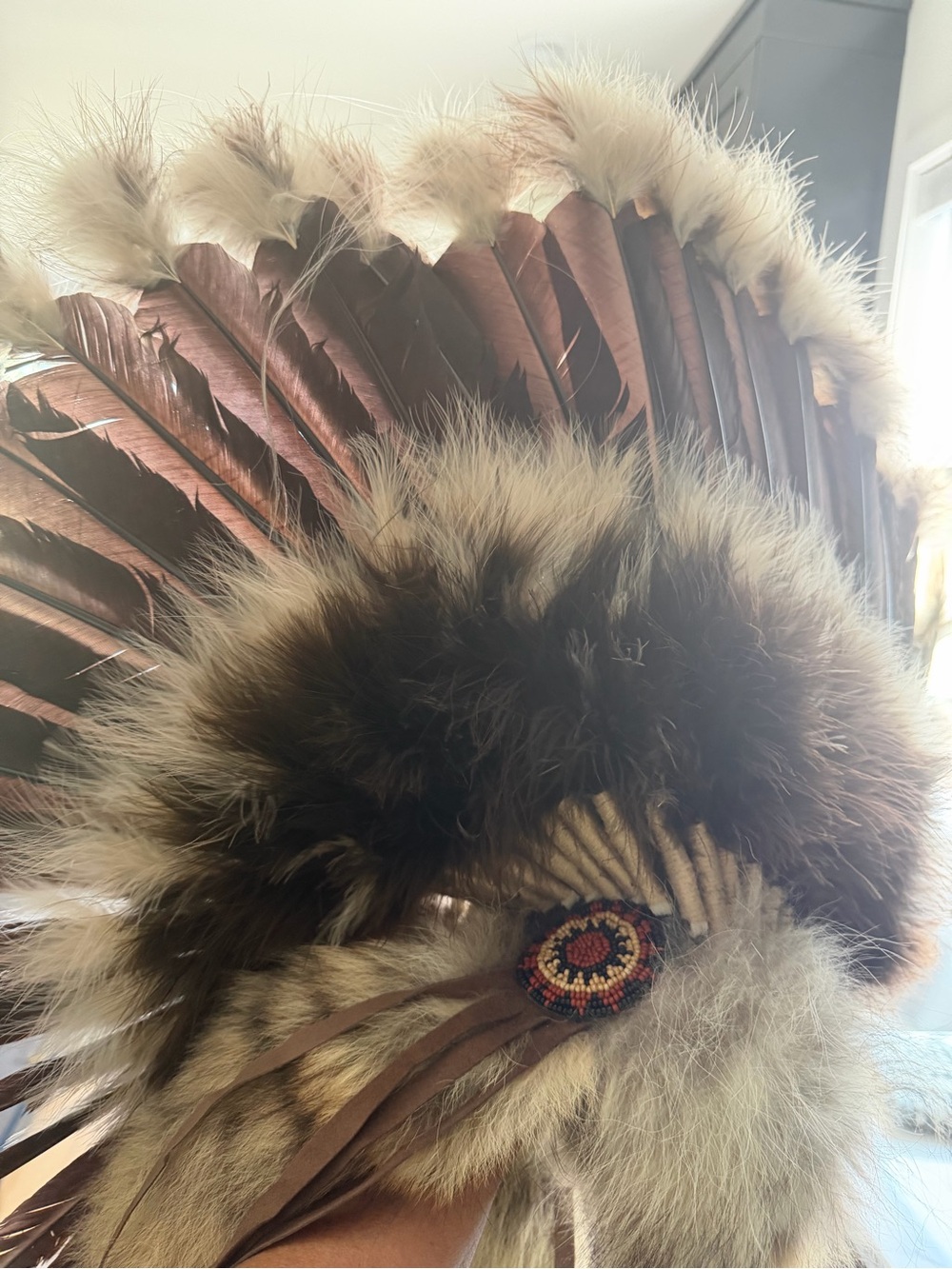 Navajo Coyote Eagle Feather Halo Headress - Picture 7 of 16